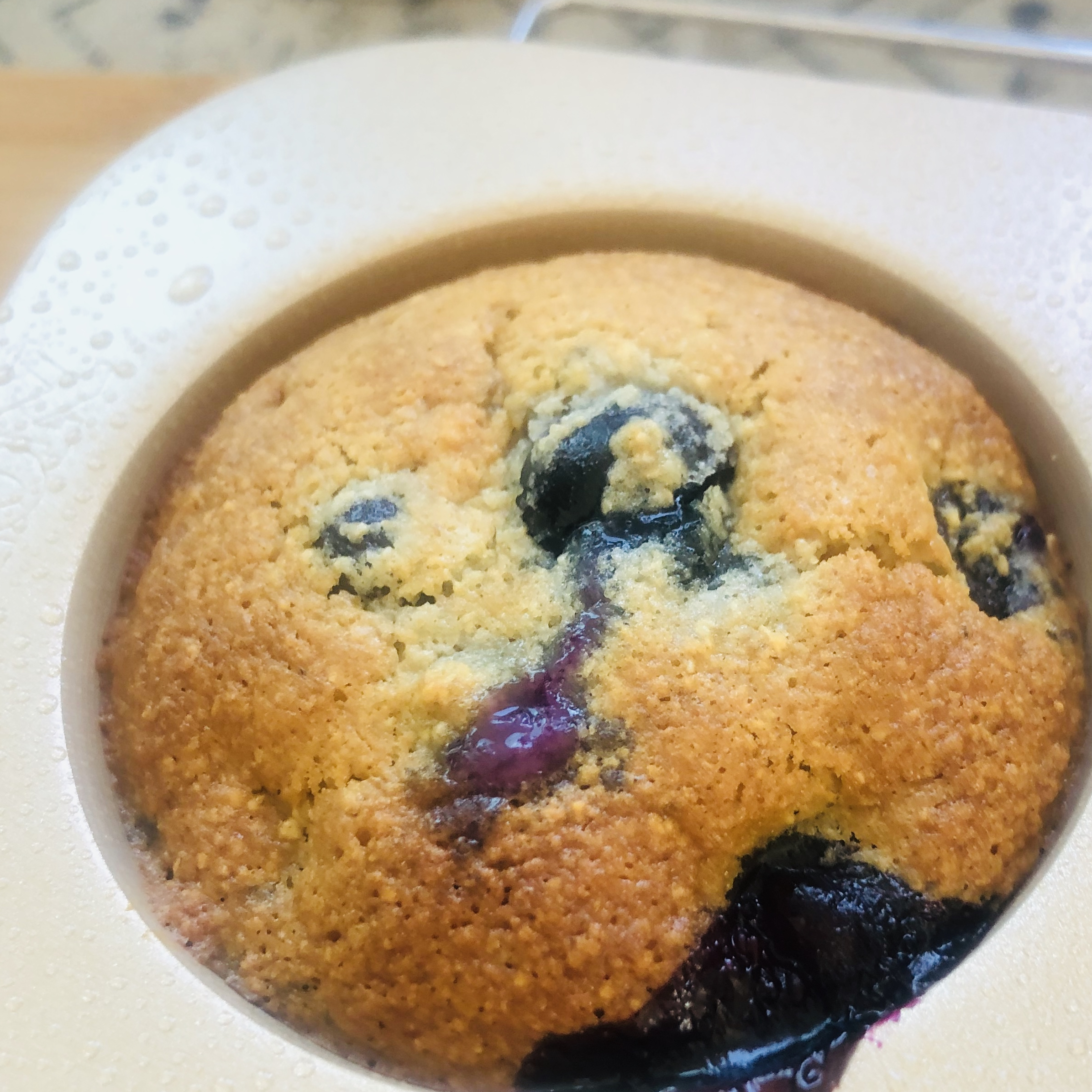 Blueberry Protein Muffins Your Kids Will Love