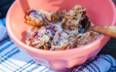 Strawberry Crisp Cereal: My New favorite healthy Breakfast Treat